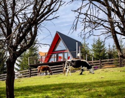 Будиночки «Sunshine Eco House»