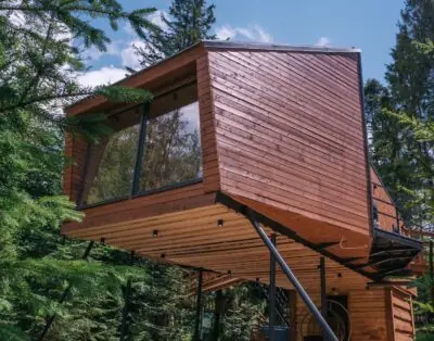 Tree House MoonLight