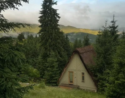 Шале «На Брусниці» / Chalet «Na Brusnyci»